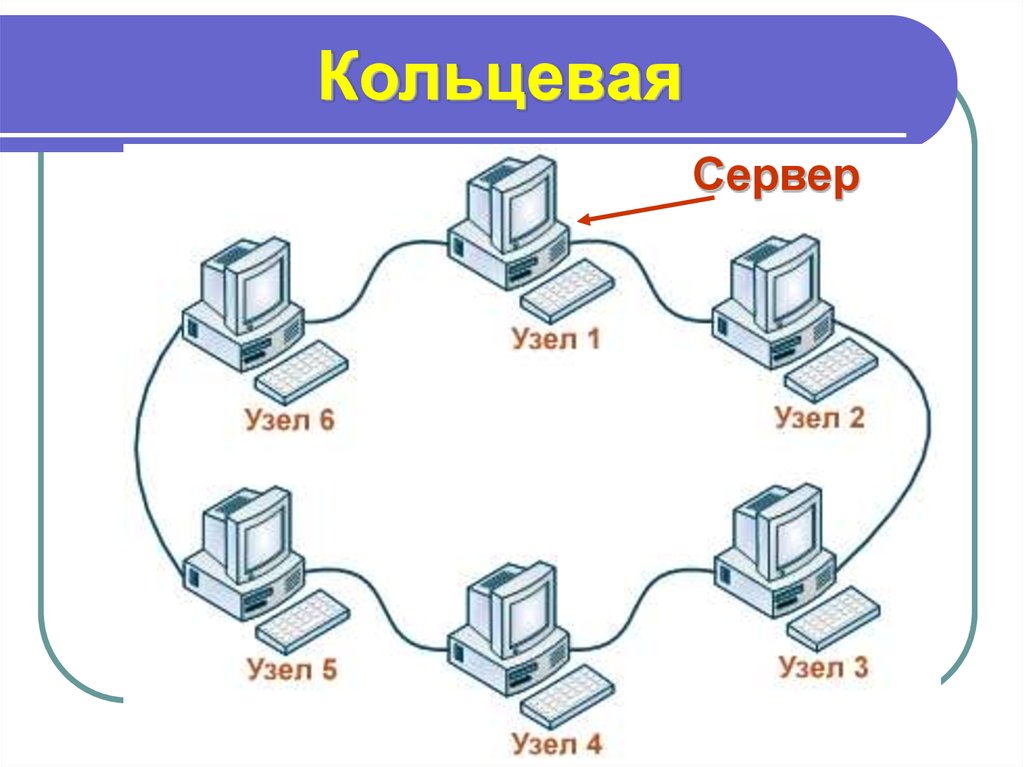 Виды узлов сети. Узлы компьютерной сети. Коммуникационный узел. Узлы в локально вычислительная сеть. Локальная сеть компьютерные узлы.