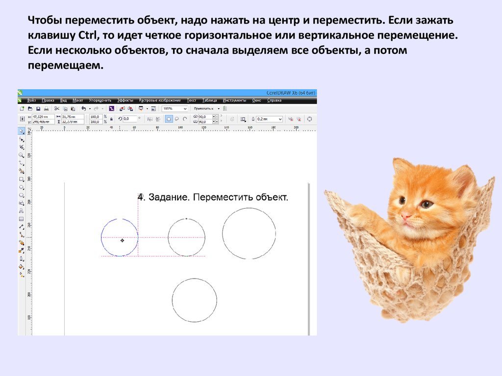 Как добавить рисунок на слайд тест