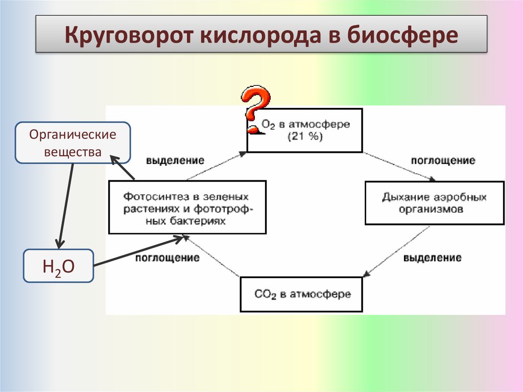 Схема круговорот кислорода в природе схема