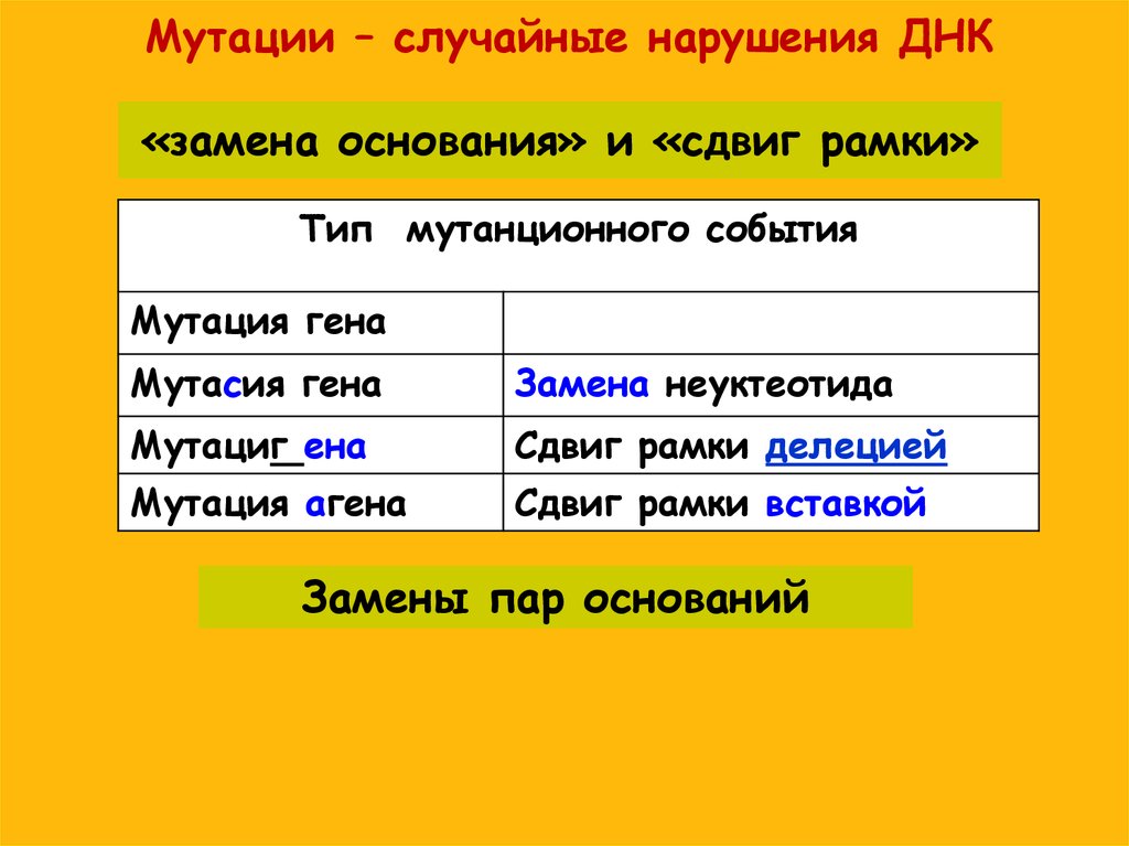 Смена оснований. Тип мутации замена основания. Мутации замен пар оснований это. Замена основания. Свойство Гена мутабильность.