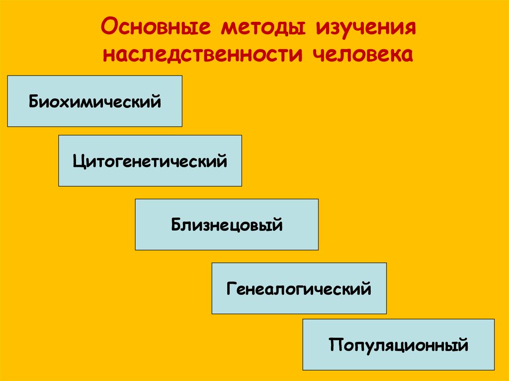 Изучение механизма наследственности. Методы изучения наследственной изменчивости человека таблица. Методы исследования наследственности. Методы исследования наследственности и изменчивости человека. Методы исследования наследственности человека таблица.