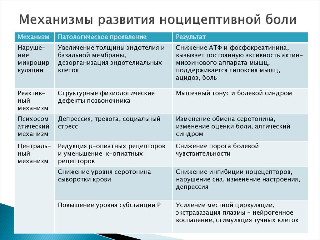 Схема структурной организации восприятия первичной локализованной боли