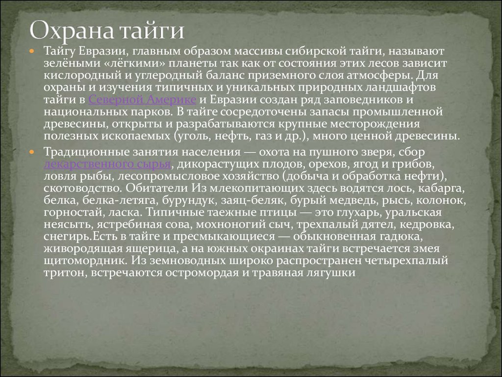 Почему сибирская тайга нуждается в охране. Охрана тайги. Охрана природной зоны тайги. Экологические проблемы и охрана тайги.