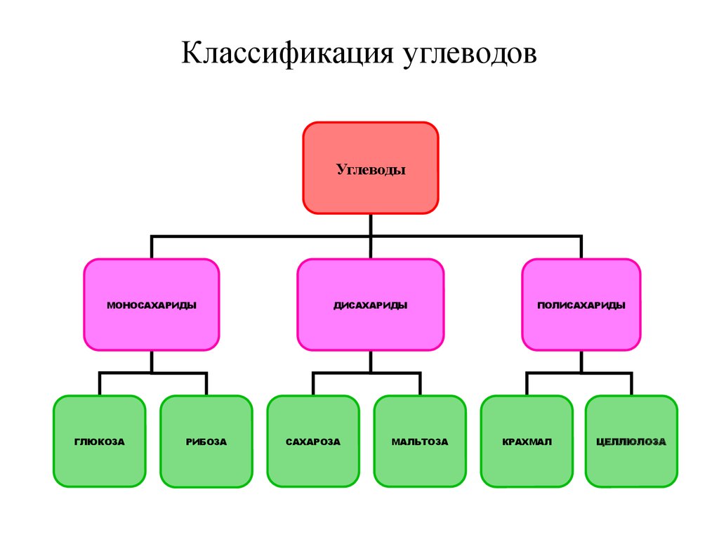 Классификация картинки. Классификация углеводов. Составьте схему классификации углеводов. Классификация простых углеводов. Олигосахариды классификация схема.