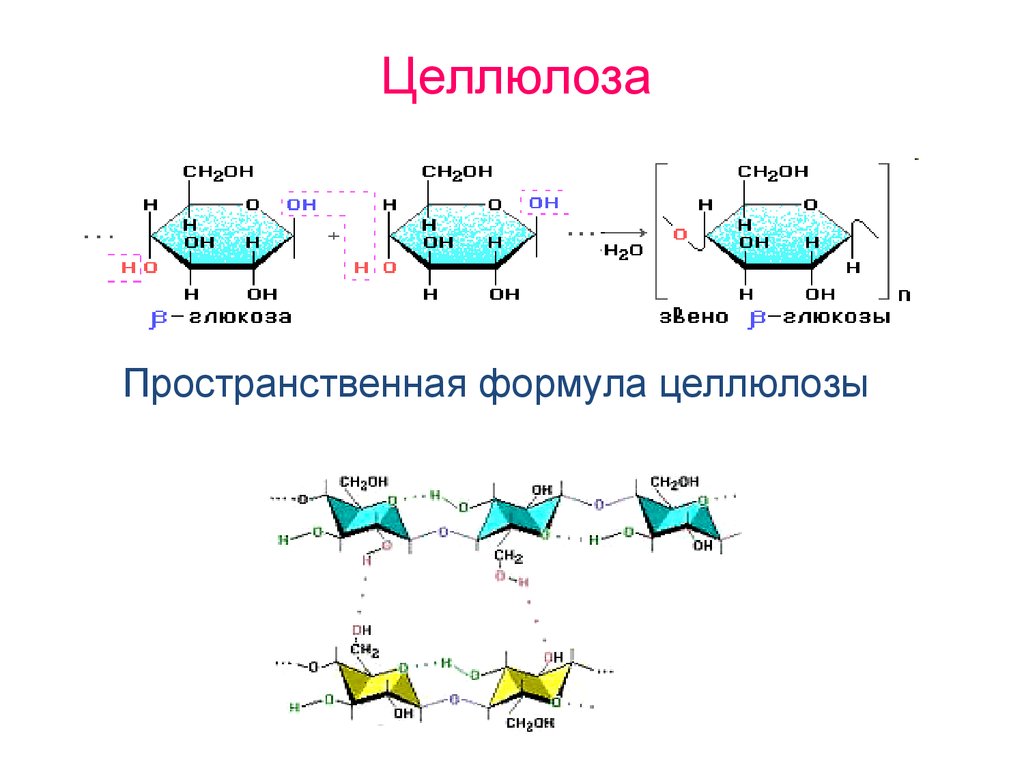 Целлюлоза молекулярная формула