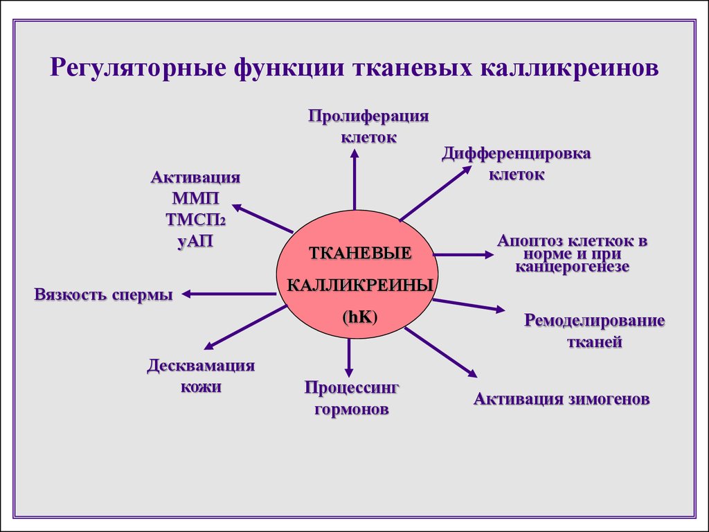 Система обработки тканевых образцов ивд полуавтоматическая