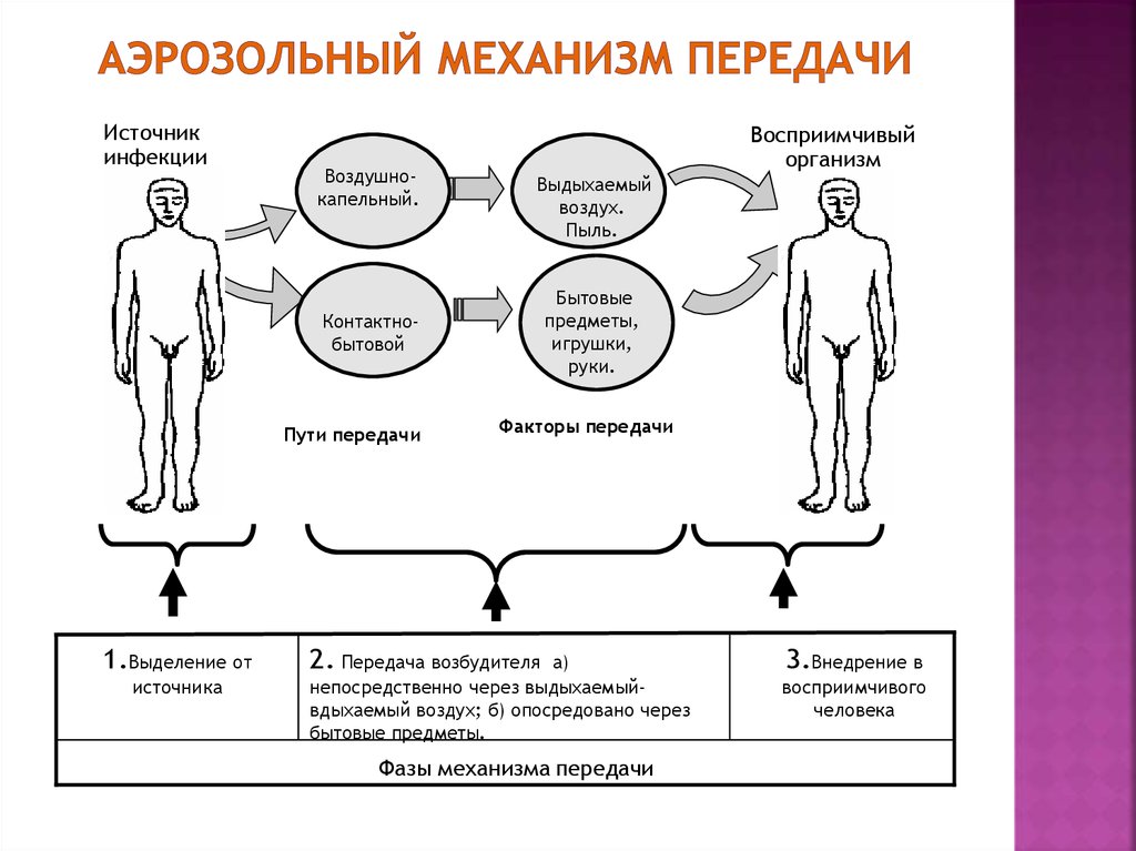 Эпидемический процесс и меры воздействия схема