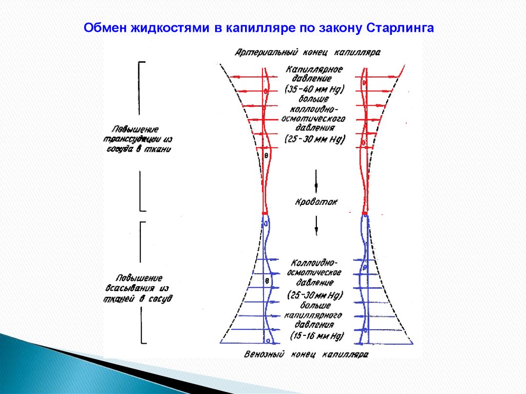 Обмен жидкостями