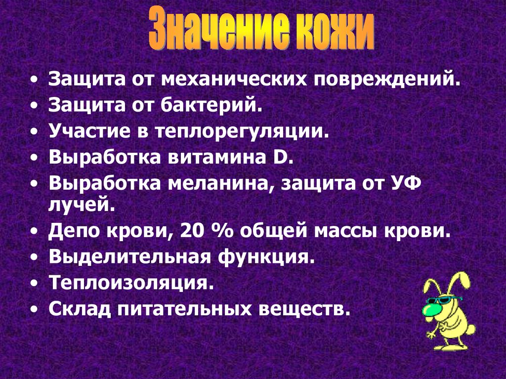 Защита от повреждений. Значение кожи для организма. Доклад на тему значение кожи. Рассказ на тему значение кожи для организма. Значение кожи для человека.