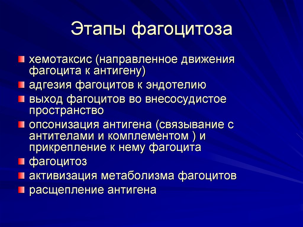 Этапы фагоцитоза. Фазы фагоцитоза. Этапы хемотаксиса и фагоцитоза. Этапы завершенного фагоцитоза.