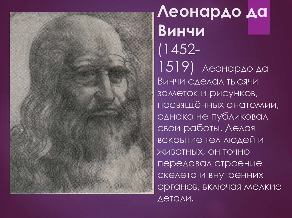 Леонардо да винчи что открыл. Что создал Леонардо да Винчи. Леонардо да Винчи (1452-1519). Открытия Леонардо да Винчи кратко научные. Леонардо Давинчи что созздал.