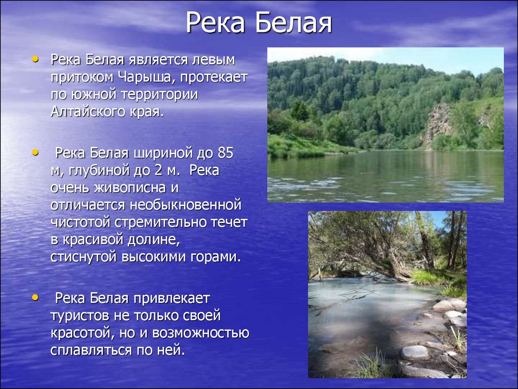 Река белая описание 4 класс. Реки и озера Алтайского края. Река белая доклад. Река для презентации. Описание реки белой.