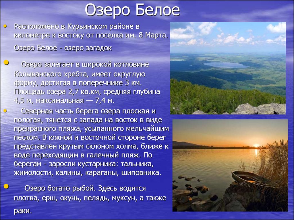 Каких рек на востоке больше всего. Реки и озера Алтайского края Алтайского края. Описание природы Алтайского края. Самые крупные озера Алтайского края. Белое озеро презентация.