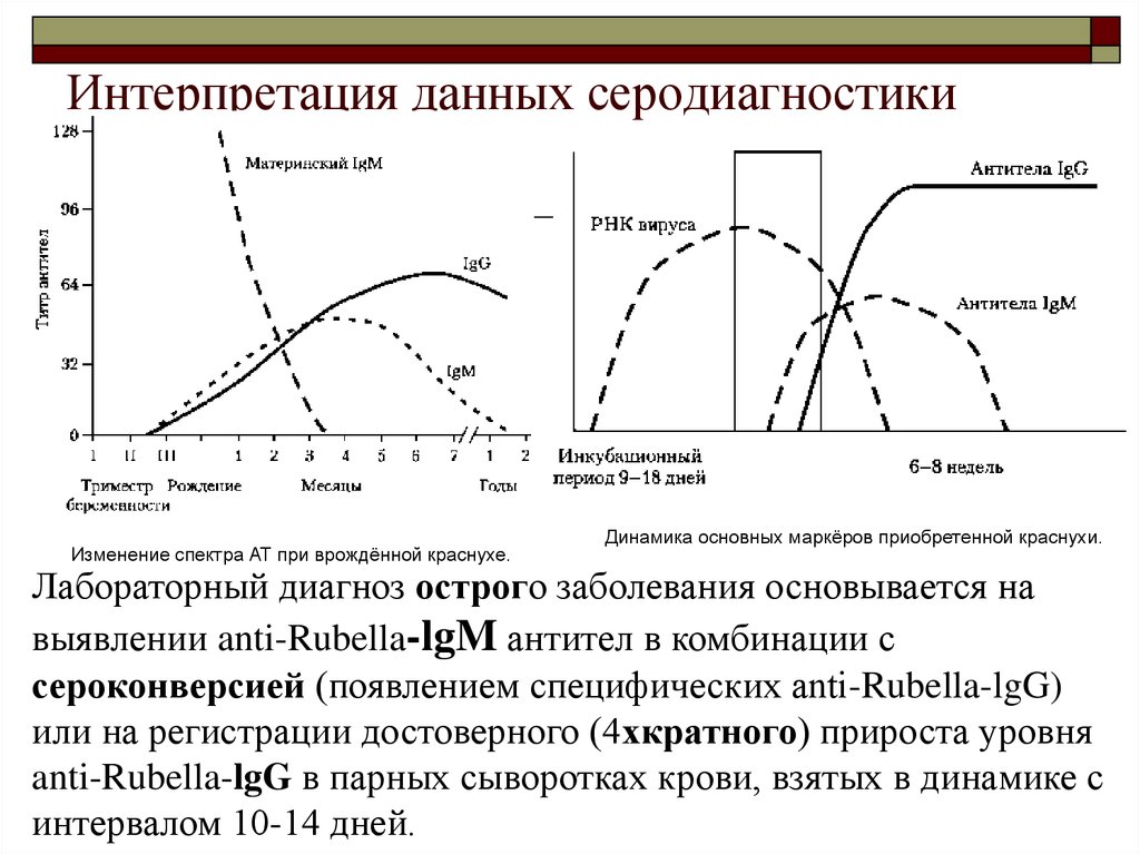 Интерпретация информации. Краснуха динамика антител. Интерпретация данных. Интерпретация полученных данных. Интерпретация информации это.