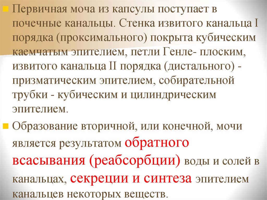 I порядка. Первичная моча поступает в. Первичная моча поступает из. Первичная моча. Факты о первичной моче.