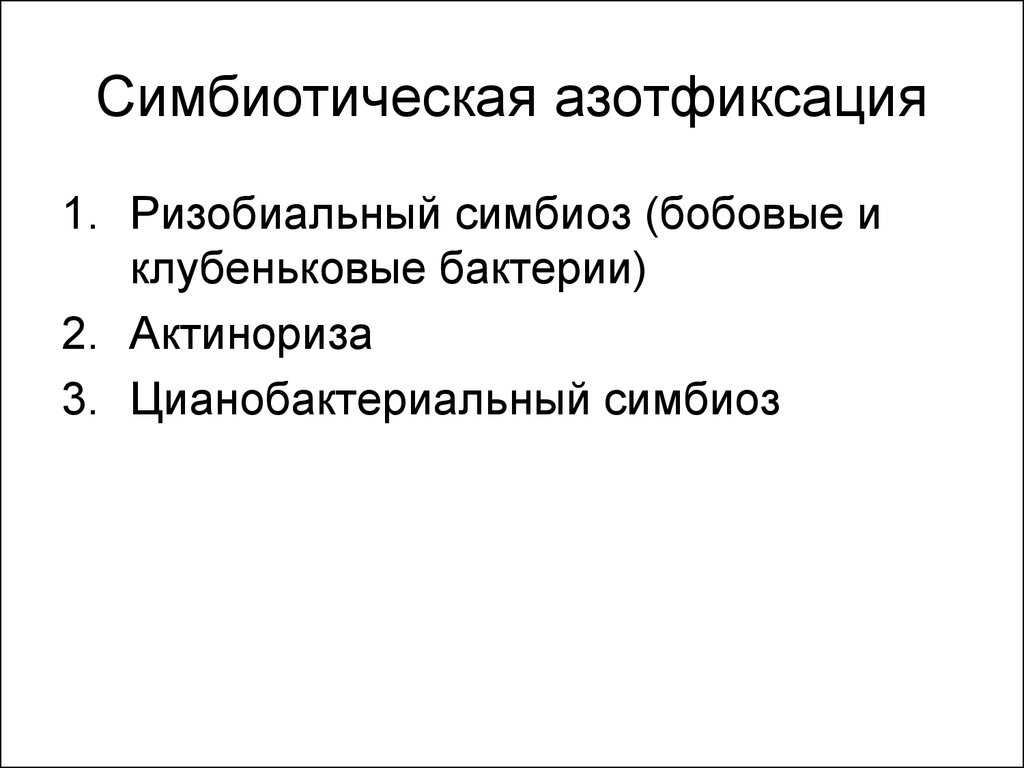 Симбиотическая азотфиксация. Азотфиксация у прокариотов. Симбиотическая фиксация азота. Ризобиальный симбиоз.