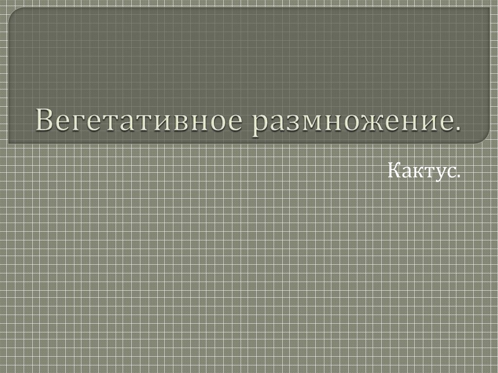 Лабораторная работа. Вегетативное размножение. Кактус - презентация онлайн
