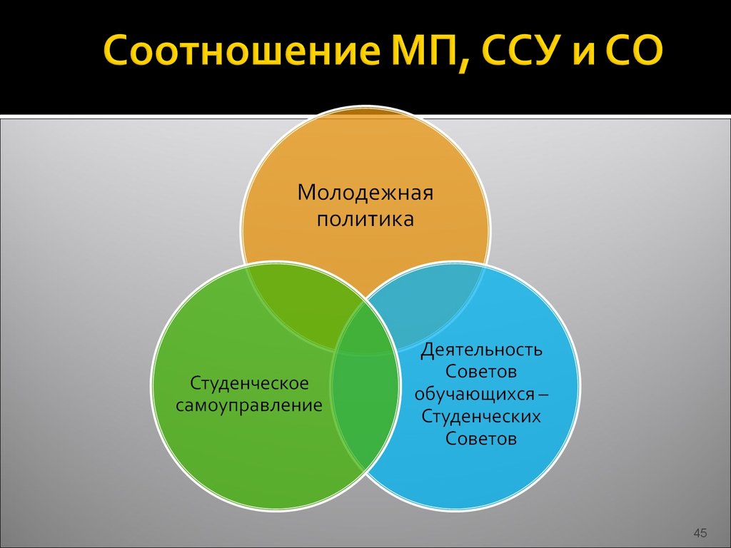 Деятельность совета обучающихся. Государственная Молодежная политика. Функции студенческого самоуправления. Основы государственной молодежной политики.