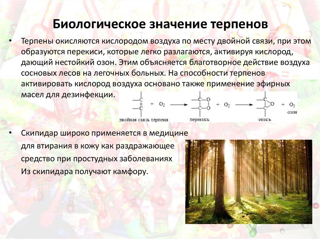 Биологическое значение. Терпены биологическая роль. Биологическое значение терпенов. Терпеноиды биологическая роль. Терпены функции.