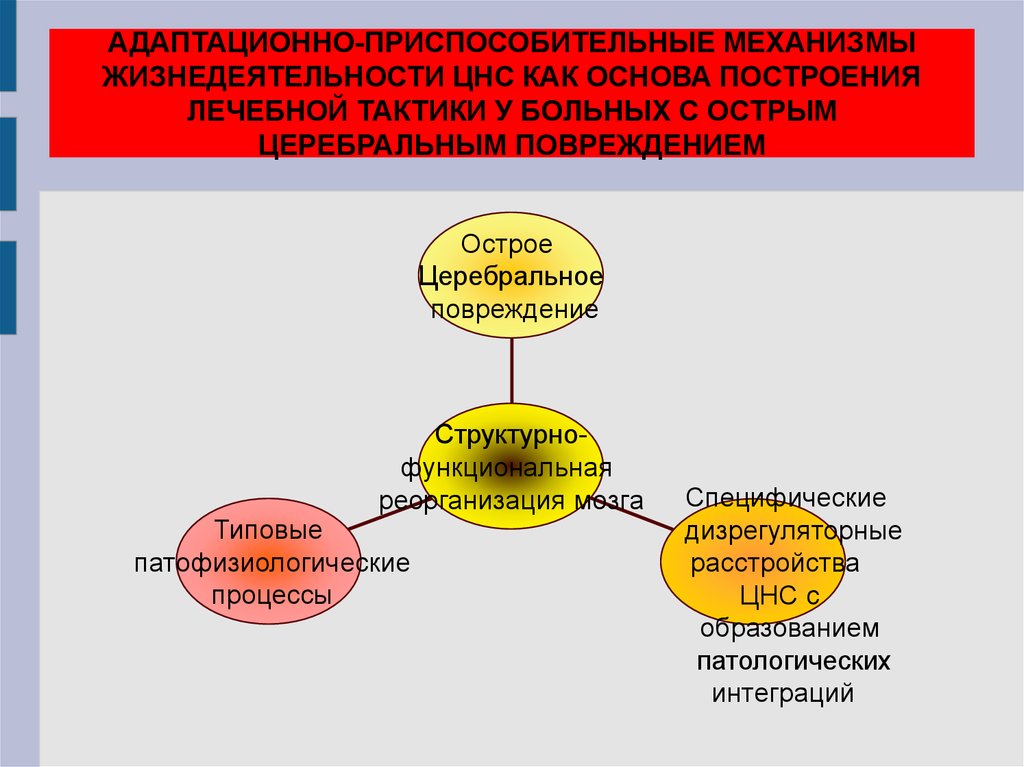 Схема защитно приспособительных механизмов организма при умирании