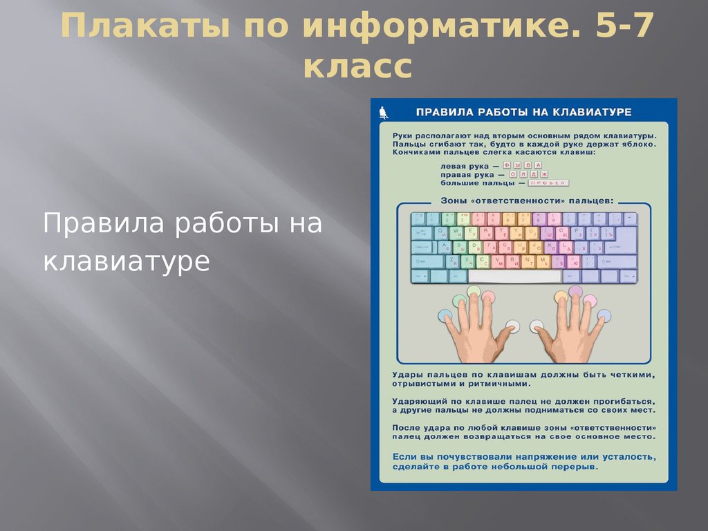 Информатик правильно. Плакат Информатика. Плакаты для класса информатики. Интерактивный плакат по информатике. Плакаты по информатике для класса.