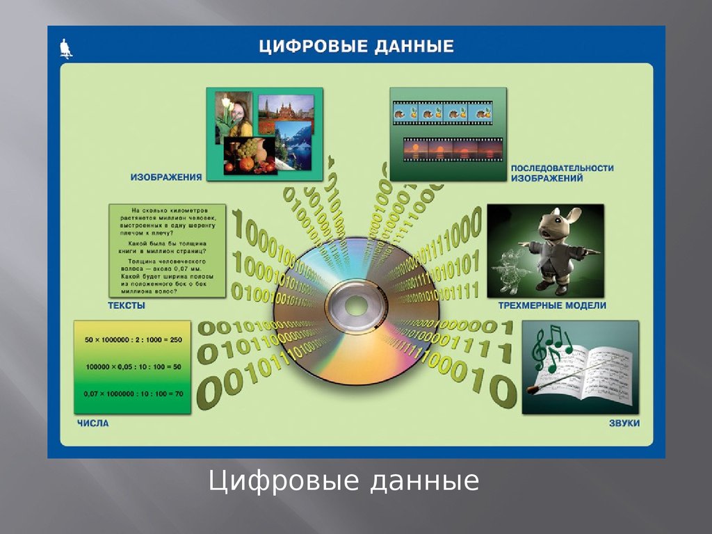 Цифровые данные. Наглядные пособия по информатике плакаты. Данные это в информатике. Плакат данные в информатике. Информатика картинки наглядные пособия.