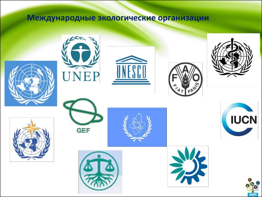 Международные экологические организации
