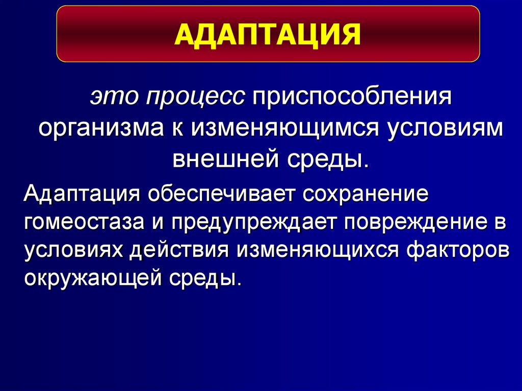 Процесс приспособления организма. Адаптация это процесс организма к меняющимся условиям среды. Адаптация это процесс приспособления. Процесс приспособления организма к меняющимся условиям среды – это. Адаптация ок условиям внешней среды.