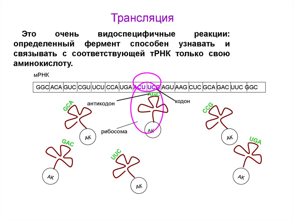 Узнают связала