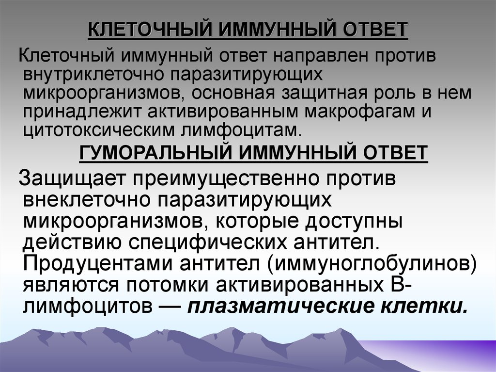 Создатель клеточного иммунитета