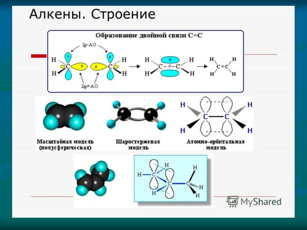 3 двойные связи. Электронное строение молекулы алкенов. Строение химической связи алкенов. Моделирование молекул алкенов. Электронное строение двойной связи алкенов.