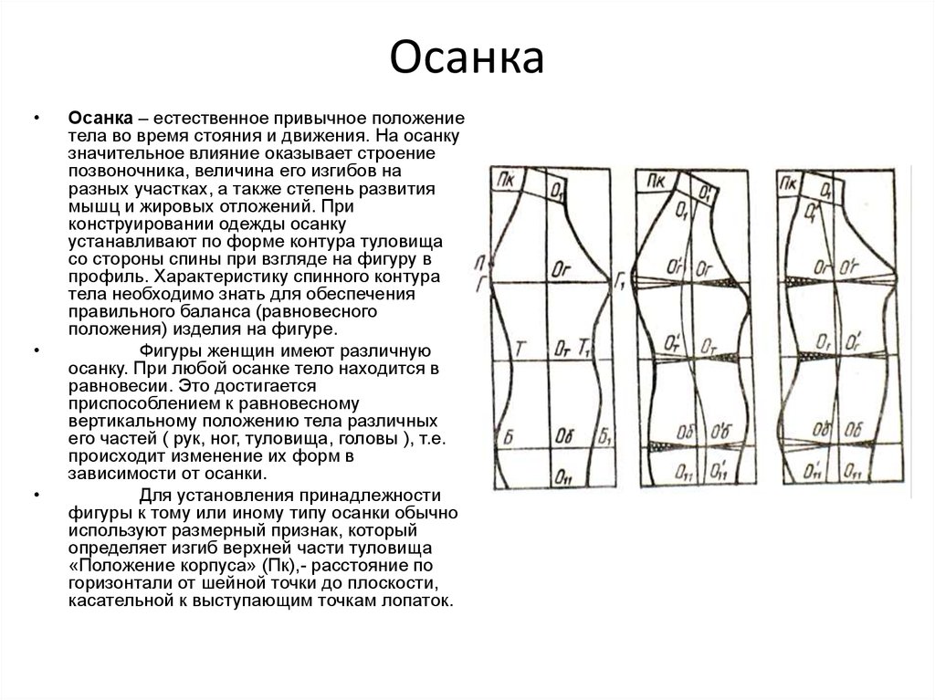 Значительное положение. Положение корпуса. Конструирование одежды на фигуры с различной осанкой. Типы осанки человека конструирование. Положение корпуса тела.