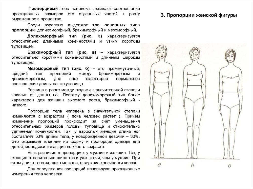 Длина ног мужчины. Пропорции тела человека. Методы оценки пропорций тела.. Пропорции телосложения человека. Соотношение человеческих конечностей. Долихоморфный Тип тела.