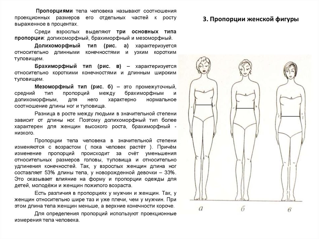 Длина модели. Мезоморфный Тип пропорции тела. Типы телосложения брахиморфный долихоморфный и мезоморфный. Характеристика пропорций тела человека. Долихоморфный Тип телосложения.