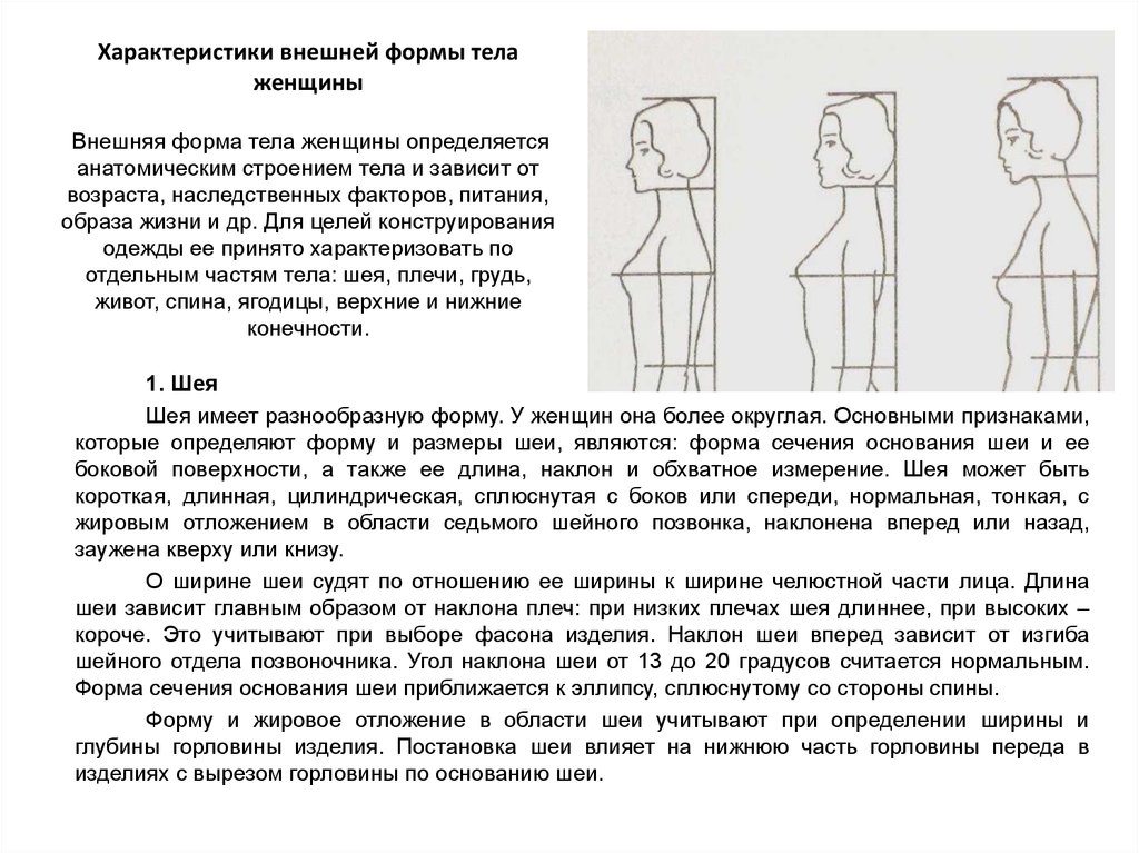 Форма тела зависит от. Характеристика внешней формы туловища. Форма тела характеристика. Внешняя форма тела человека. Параметры формы тела.