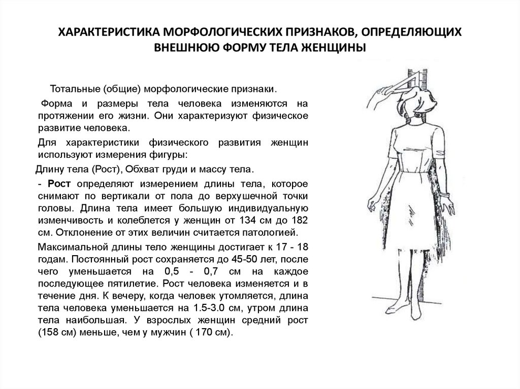 Какие морфологические характеристики