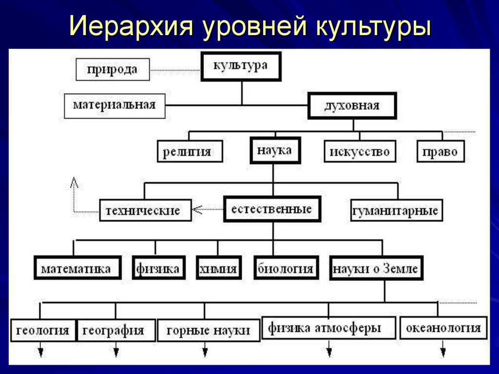 Иерархия в биологии схема