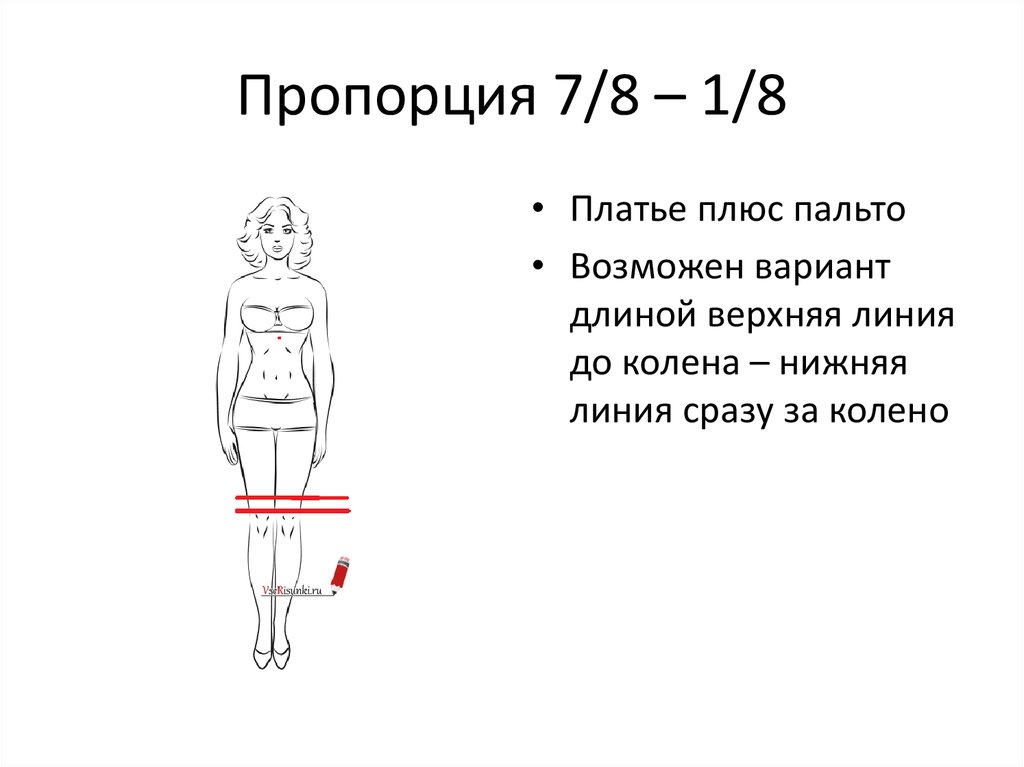 Длина верхней. Пропорция. Пропорции 1:8. Пропорции в образе одежды. Пропорция 7 к 8.