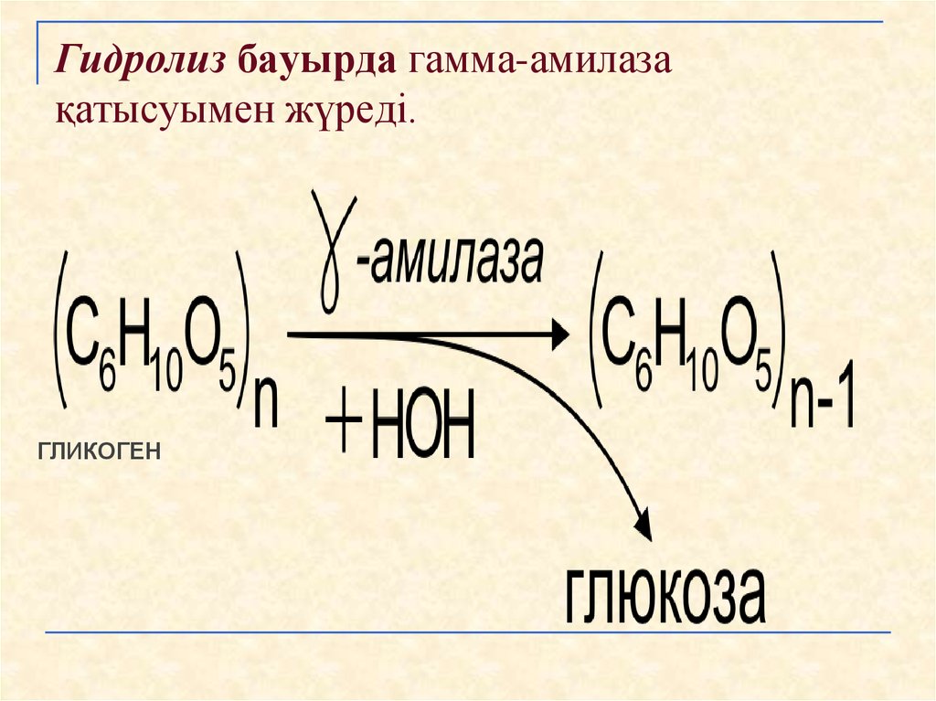 Гидролиз фосфатов. Гамма амилаза. Альфа бета гамма амилаза. Бета амилаза. Гидролиз гликогена.