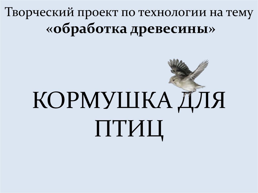 Готовый творческий проект по технологии 5 класс мальчики