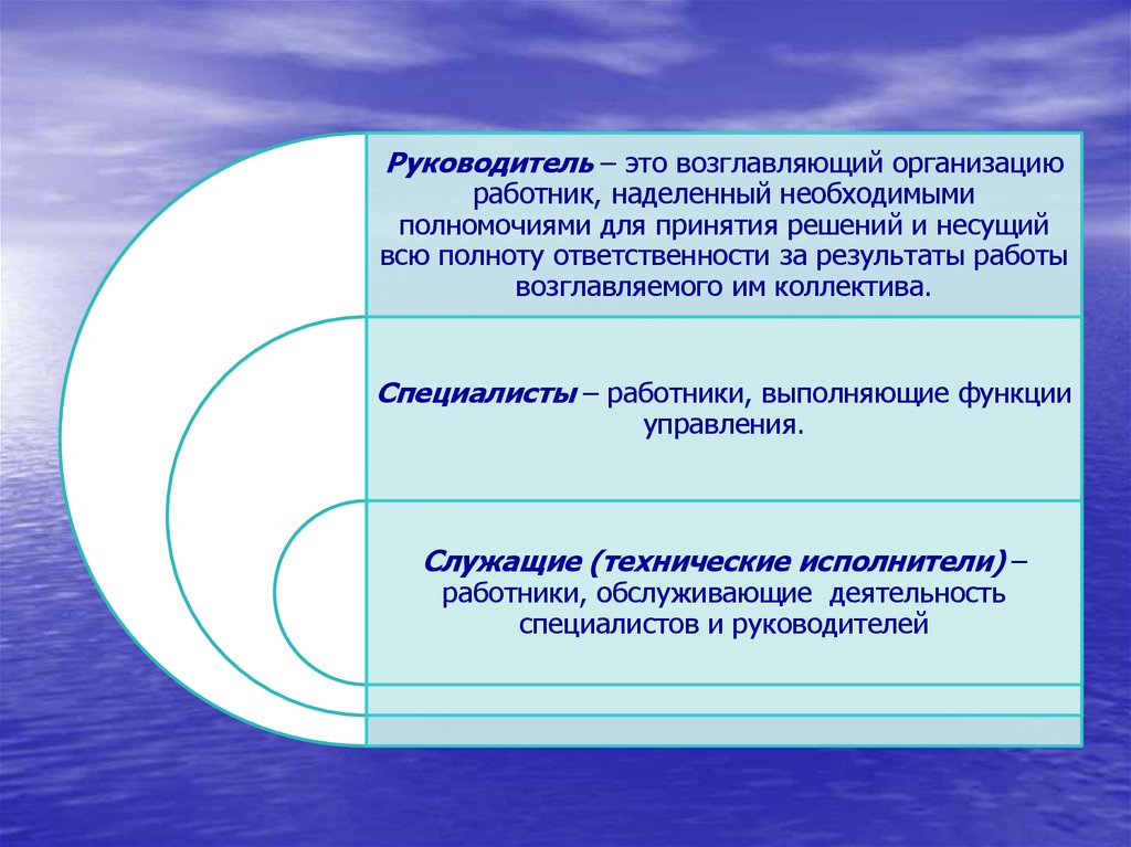 Фактическое руководство организацией. Руководитель. Руководитель это определение. Начальник это определение. Директор это определение.