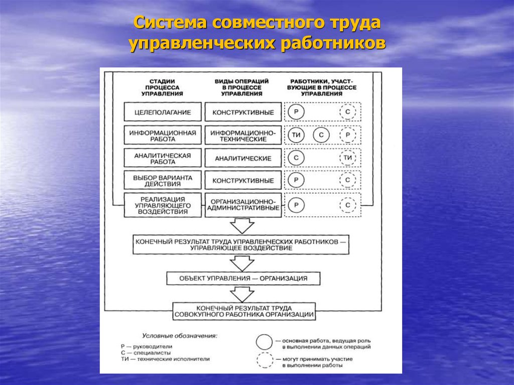 Выполняемые операции сотрудника. Основные типы работников в менеджменте.