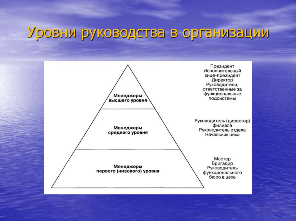 Уровень являющийся высшим. Уровни руководства. Уровни руководства в организации. Уровни руководителей в организации. Уровни руководства в менеджменте.