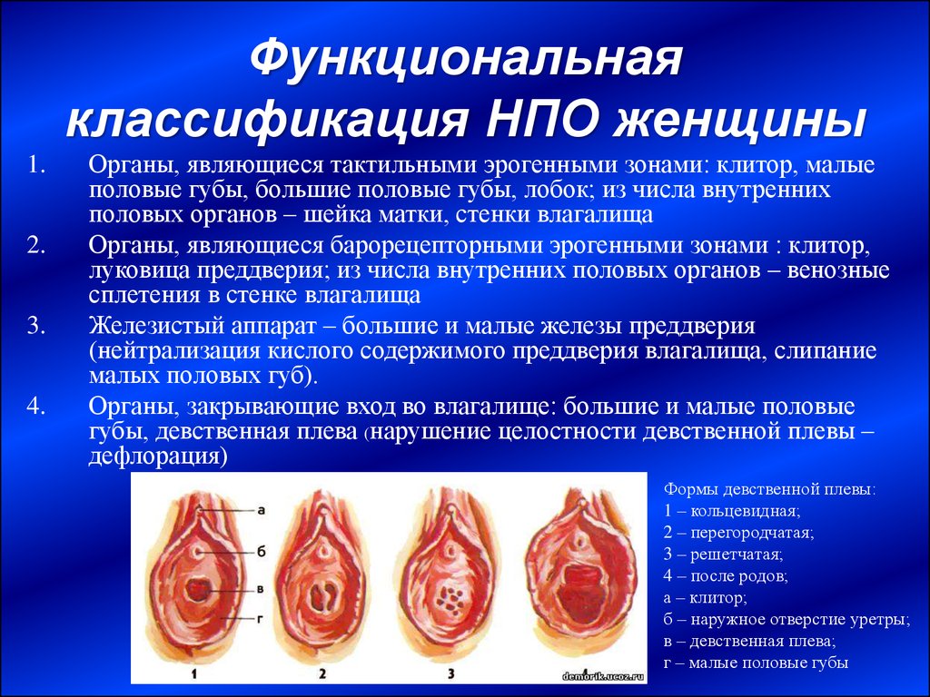 Широкое влагалище