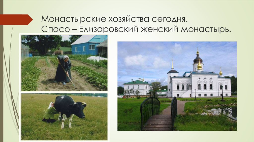 Монастырские хозяйства сегодня. Спасо – Елизаровский женский монастырь.