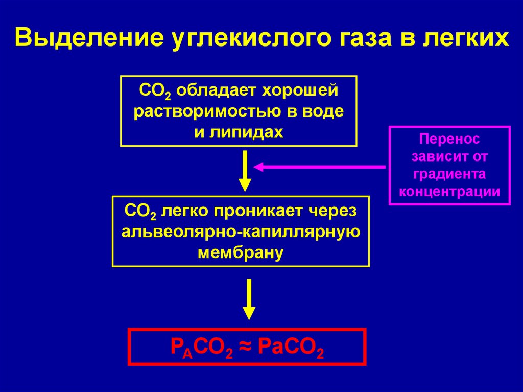 Выделение углекислого газа