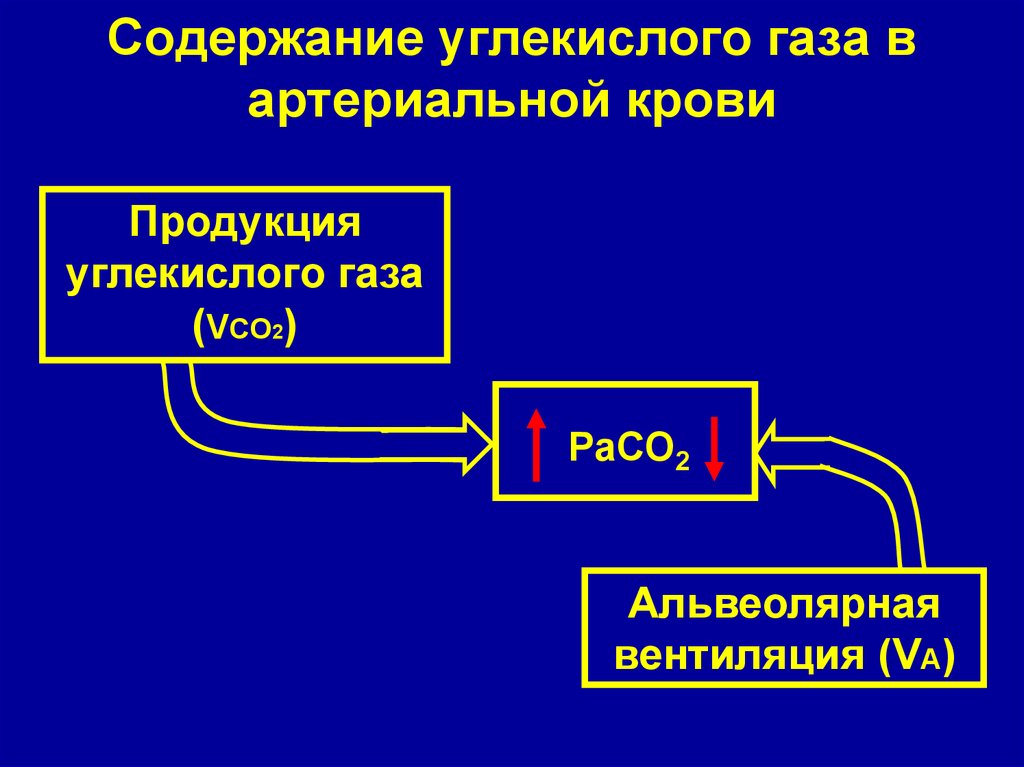 Содержащий газовый. Содержание углекислого газа в артериальной крови. Со2 в артериальной крови. Содержание в артериальной кровиуглекислого АГЗА. Содержание со2 в артериальной крови.