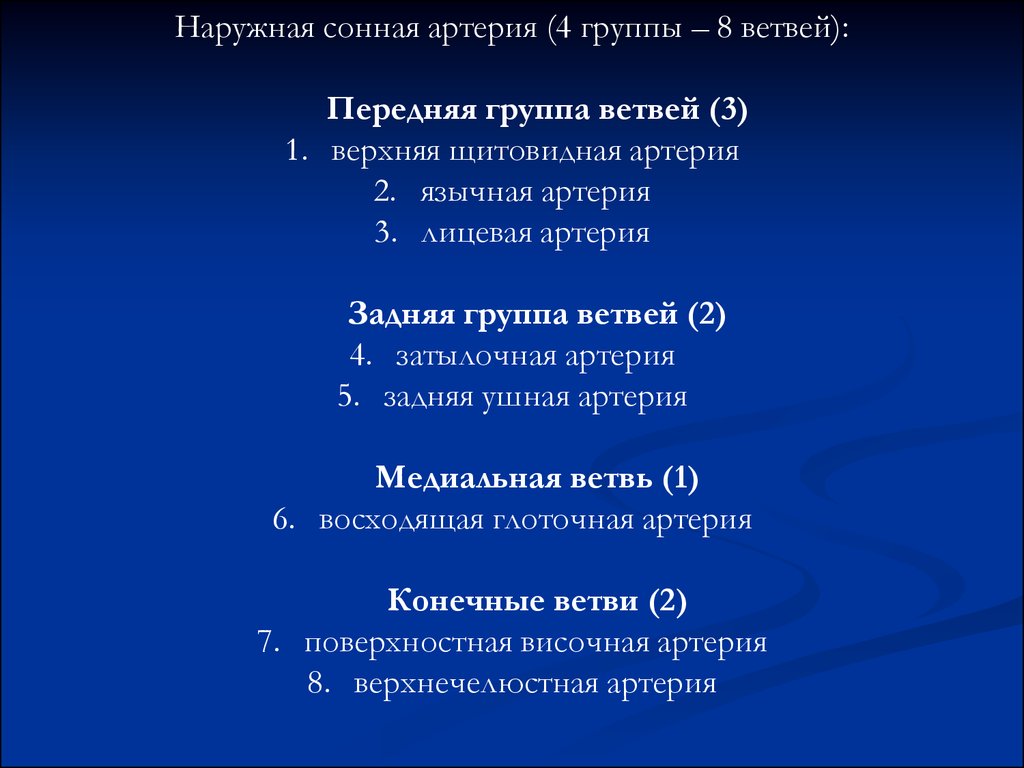 Сонно 4. Медиальная группа наружной сонной артерии. Лицевая группа ветвей. 1.Группа передних ветвей. Сонные ветви 3.3.5.