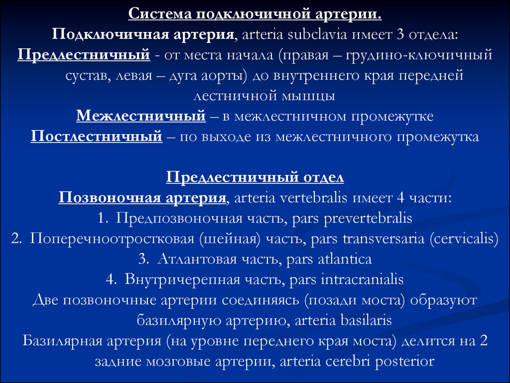 Основы клинической анатомии. Поперечноотростковая часть.