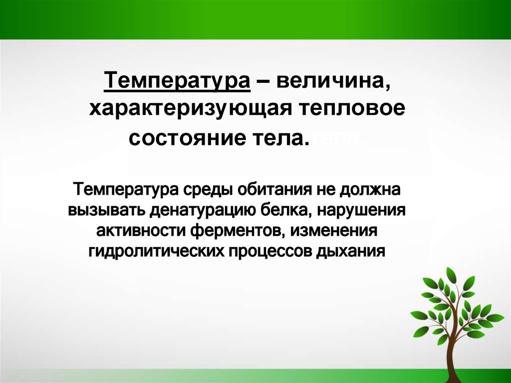 Температура это величина